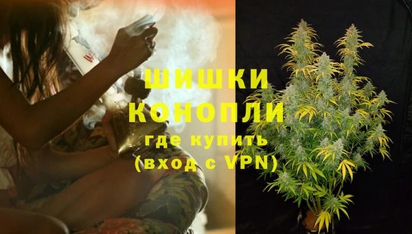 трава Киренск
