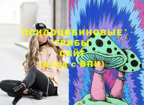 трава Киренск