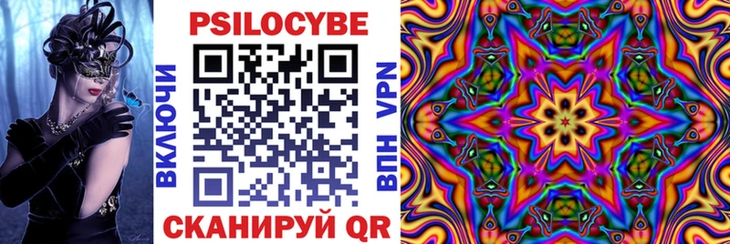 Купить где  Городовиковск  Галлюциногенные грибы прущие грибы 